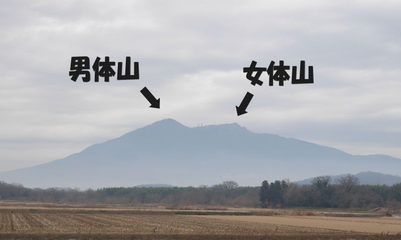 f:id:netarouyama:20201003135135j:plain