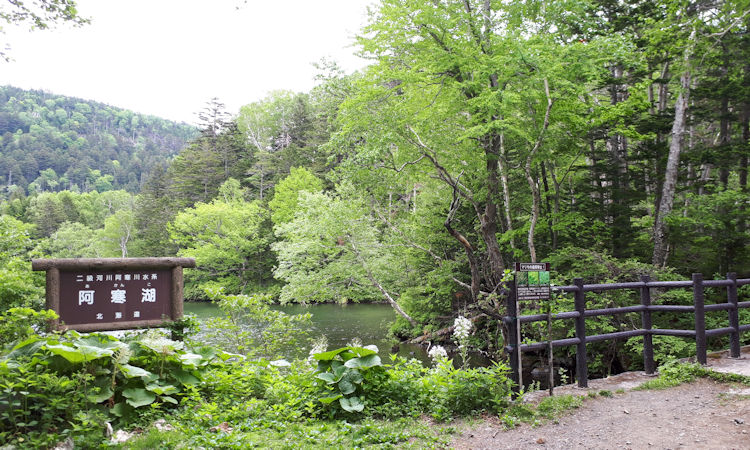 f:id:netarouyama:20201003183709j:plain