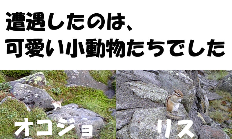 f:id:netarouyama:20201004110137j:plain
