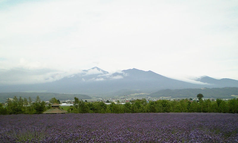 f:id:netarouyama:20201004213712j:plain