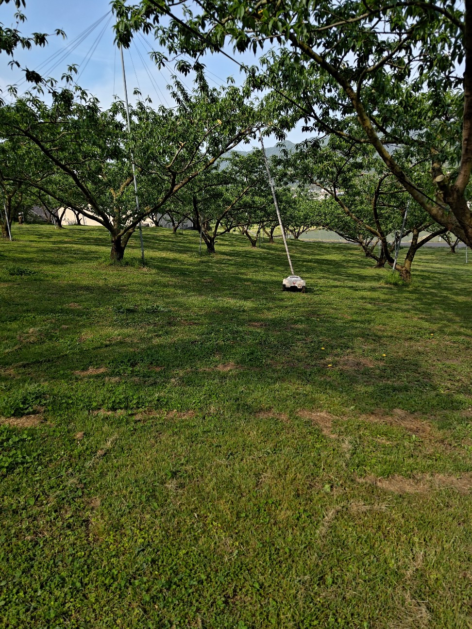 f:id:netch7:20260608081730j:image f:id:netch7:20260608081730j:image
