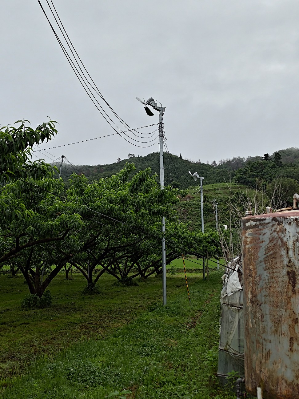 f:id:netch7:20260608081734j:image f:id:netch7:20260608081734j:image