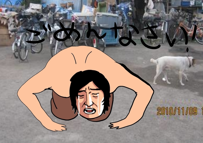 f:id:netemonemui3:20190729110315j:plain