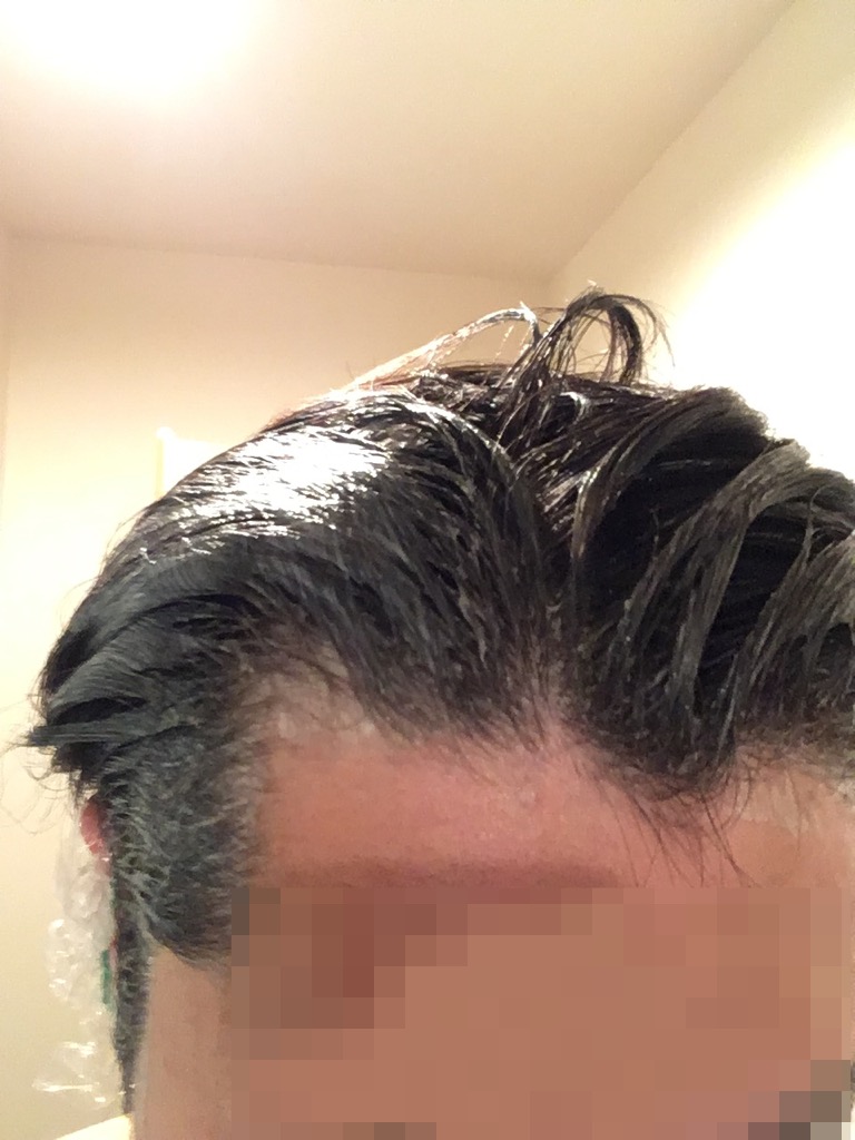 f:id:netkajino:20170605211351j:plain