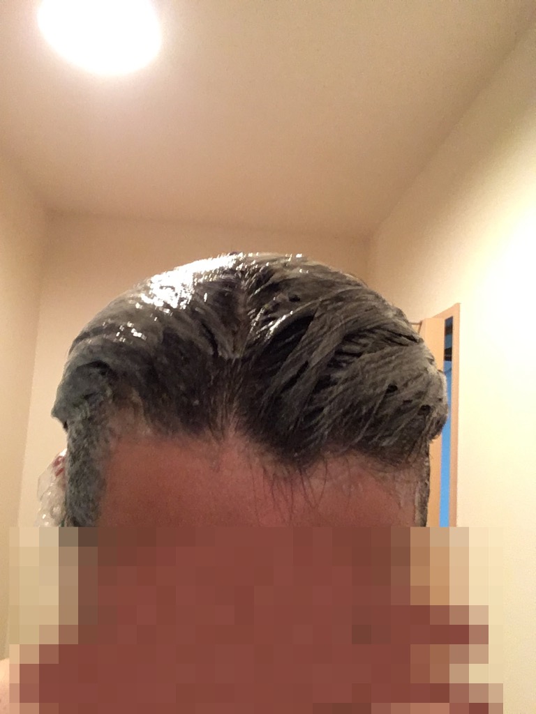 f:id:netkajino:20170605211541j:plain