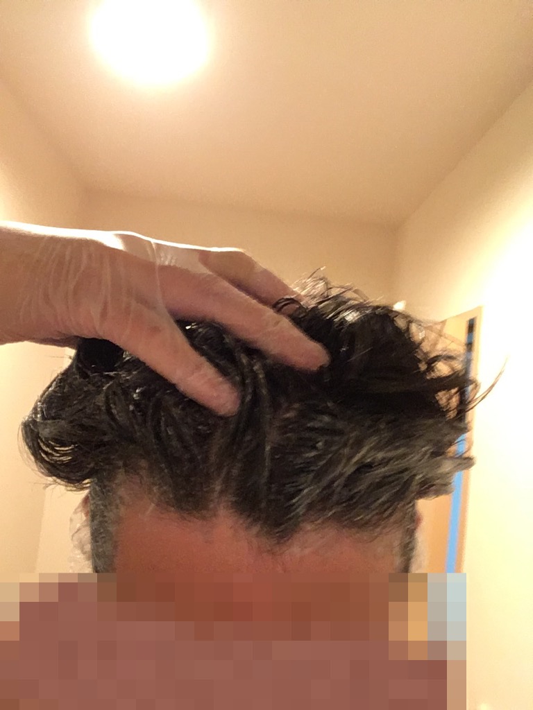 f:id:netkajino:20170605212025j:plain