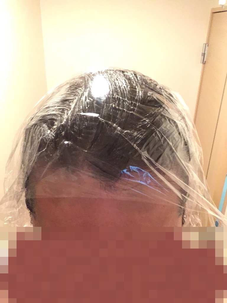 f:id:netkajino:20170605213146j:plain