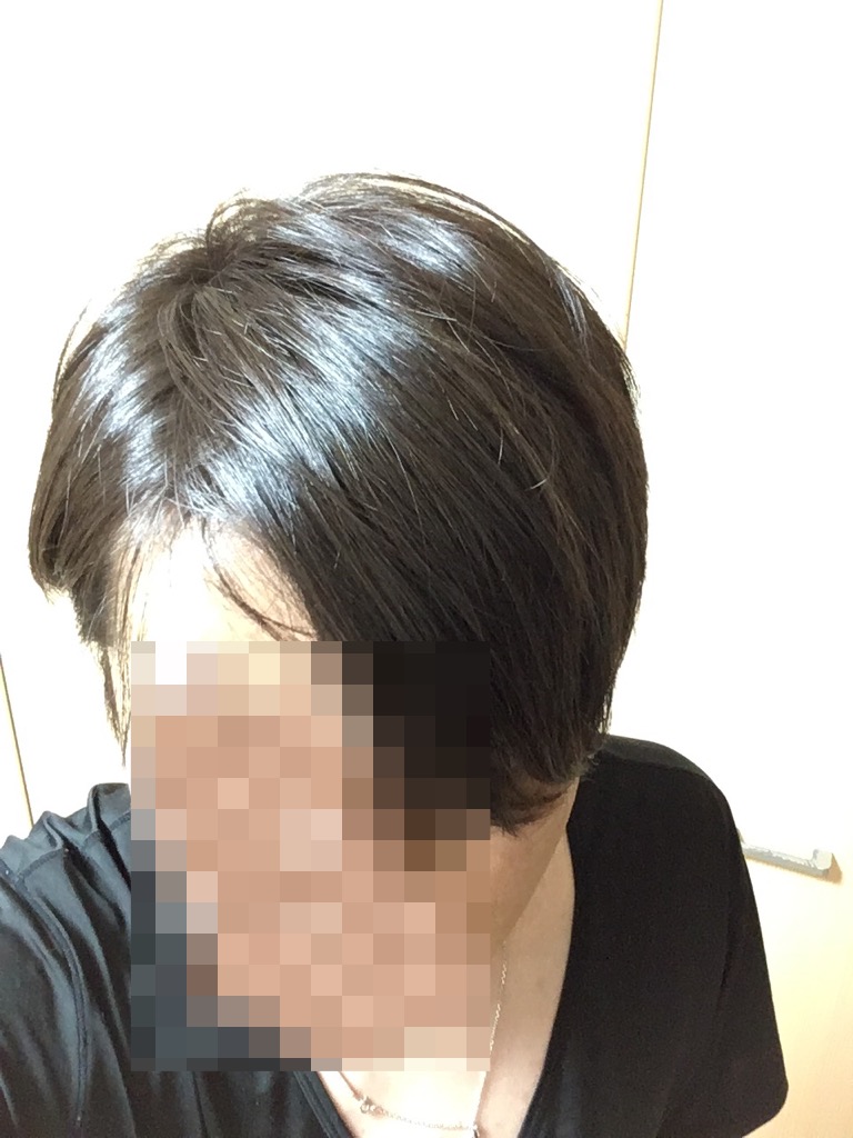 f:id:netkajino:20170605213825j:plain