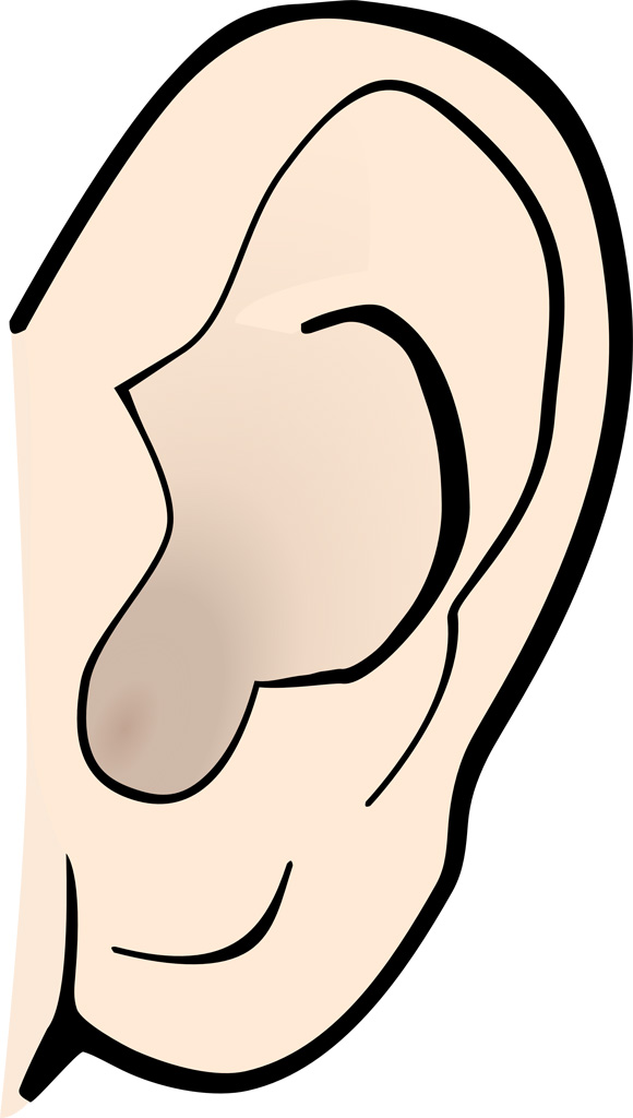 f:id:netkajino:20170803204643j:plain f:id:netkajino:20170803204643j:plain