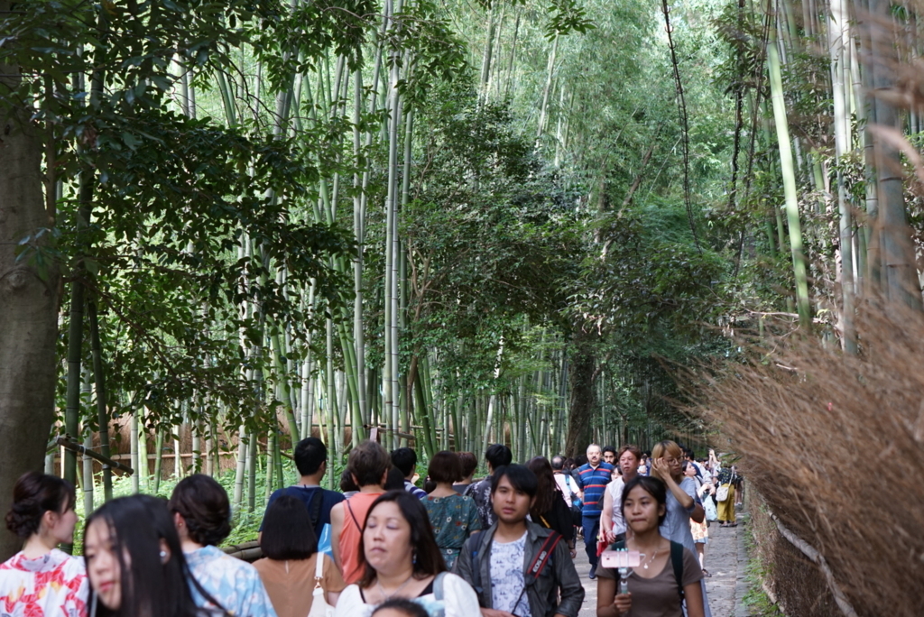 f:id:netkajino:20170813154751j:plain