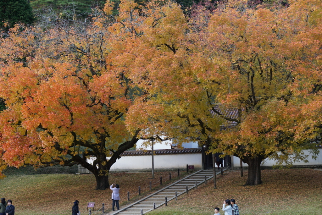 f:id:netkajino:20171112145301j:plain