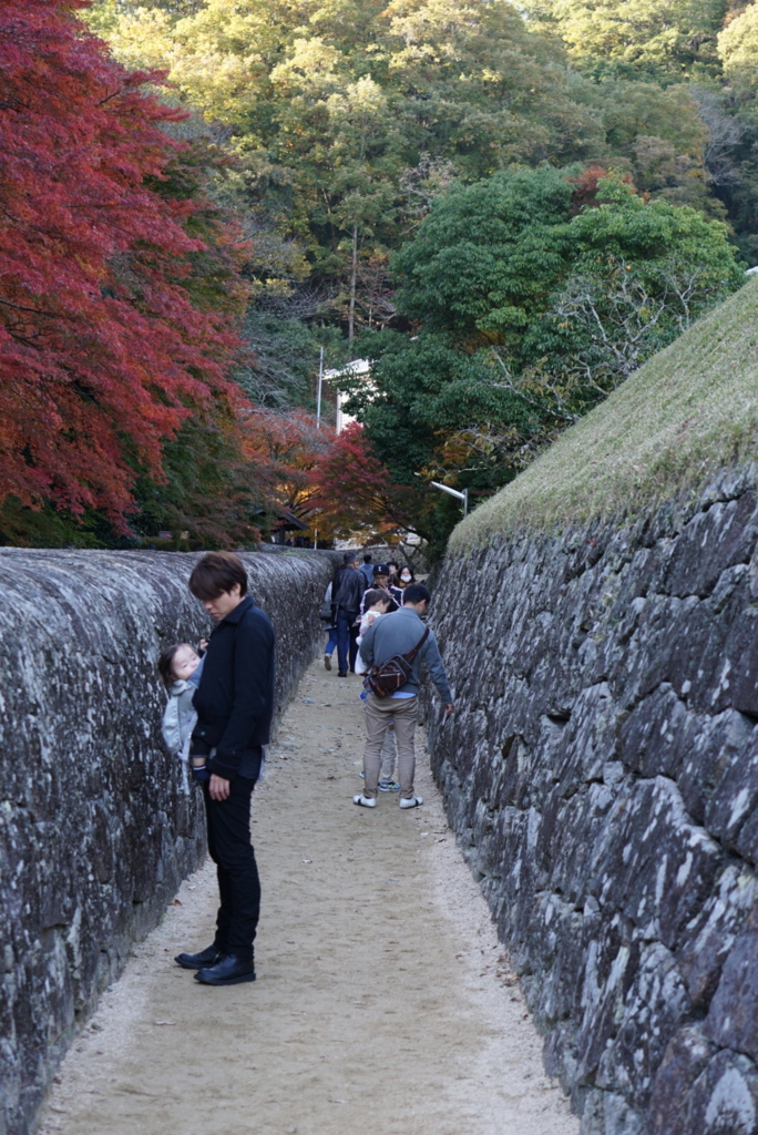 f:id:netkajino:20171112151711j:plain