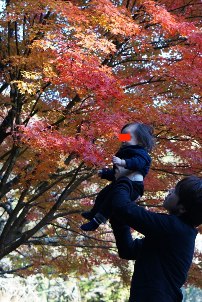 f:id:netkajino:20171112152320j:plain