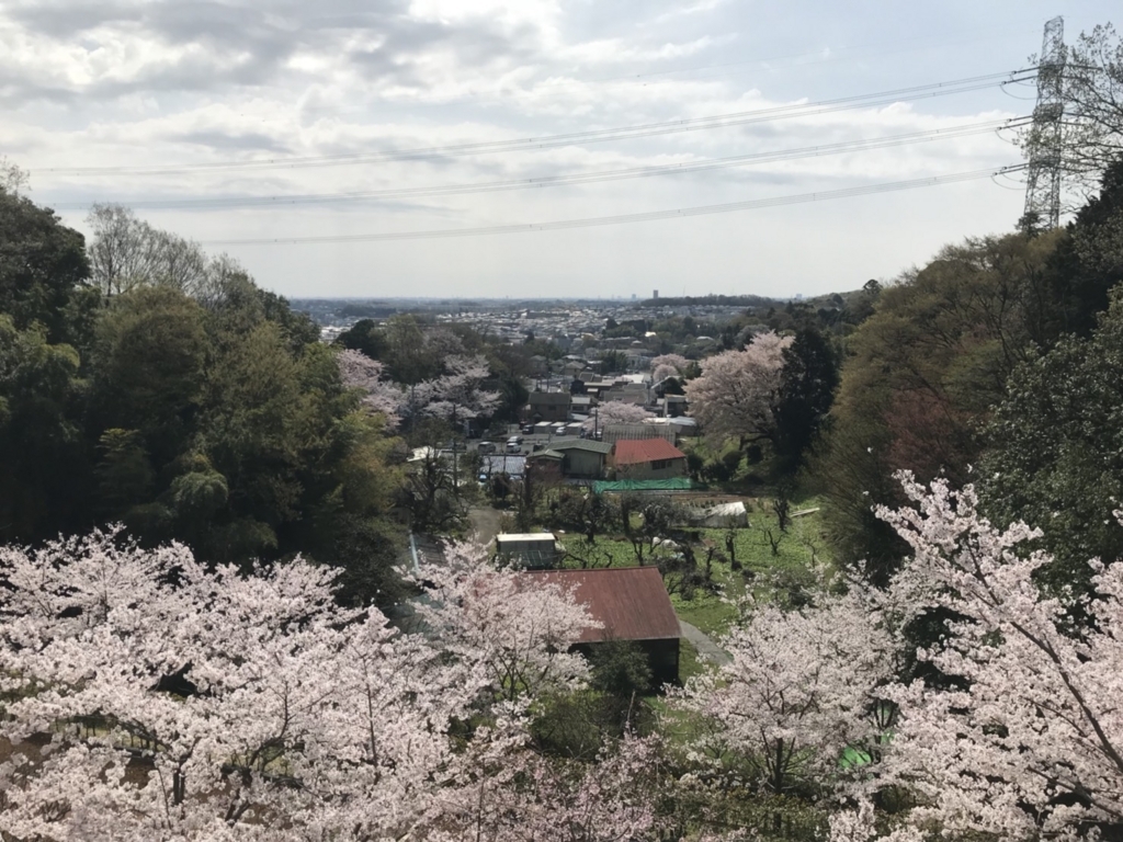 f:id:netsasaki:20180404200141j:plain f:id:netsasaki:20180404200141j:plain