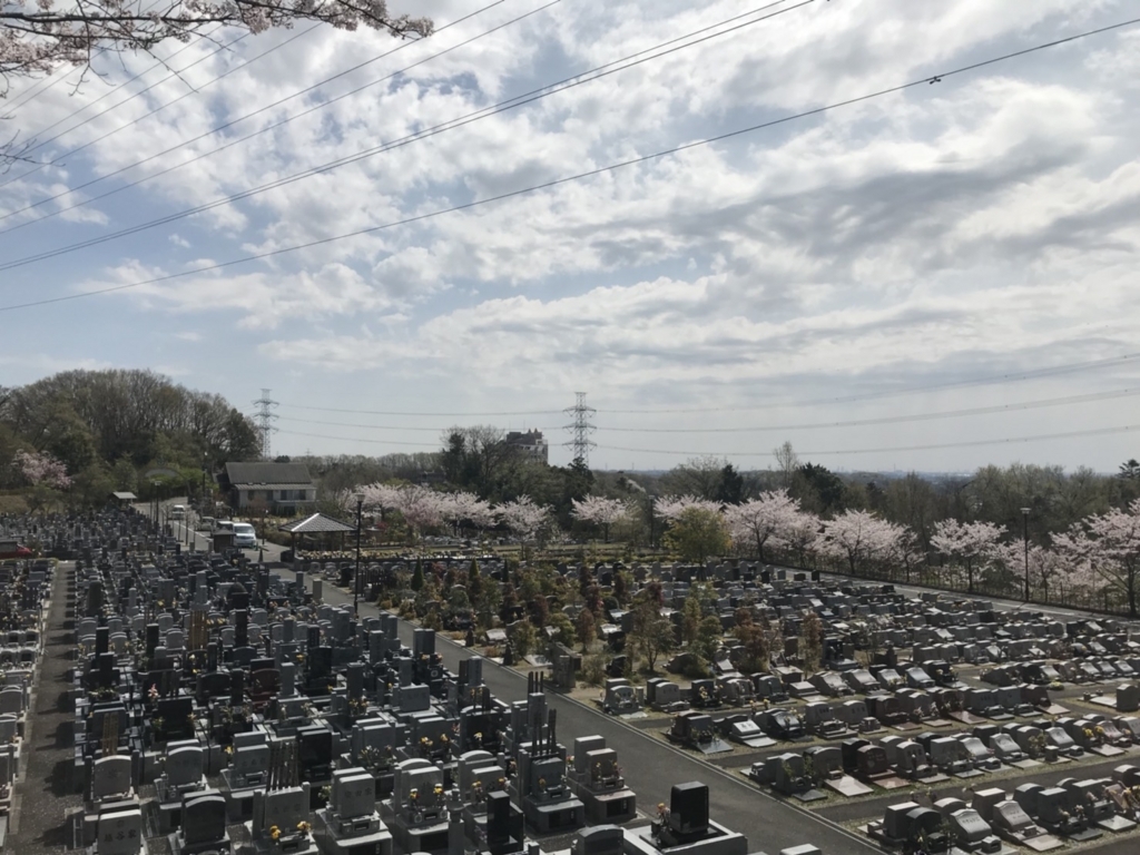 f:id:netsasaki:20180404200330j:plain f:id:netsasaki:20180404200330j:plain