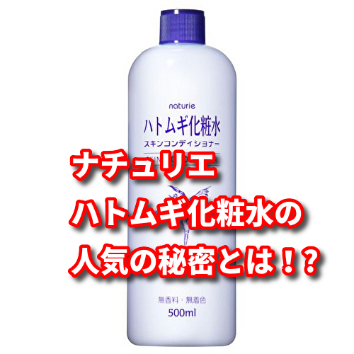 f:id:netstage:20191222171441j:plain