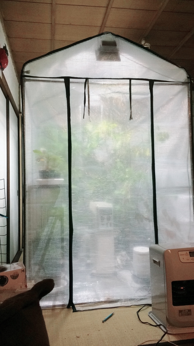 f:id:nettaikaju:20200711085805j:plain f:id:nettaikaju:20200711085805j:plain