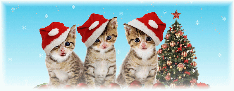 可愛い猫のxmasヘッダー用アニメーションgif Yochidas S Blog