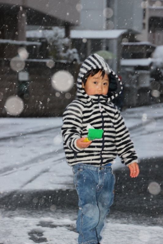 京都新聞写真コンテスト　元旦の雪遊び