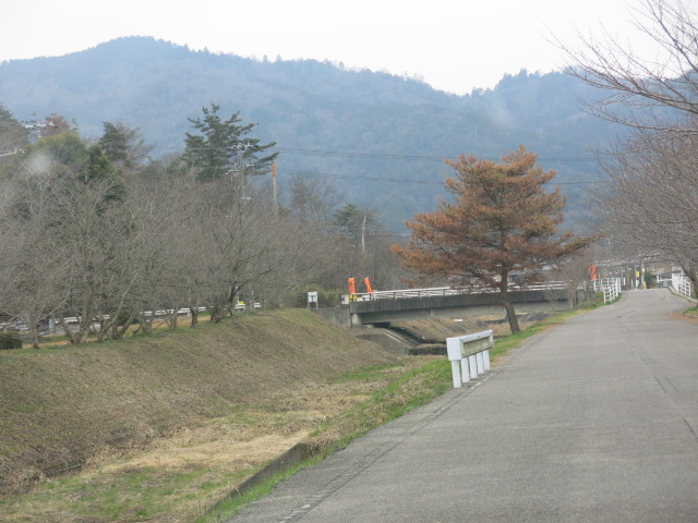 京都新聞写真コンテスト　もう少しで！