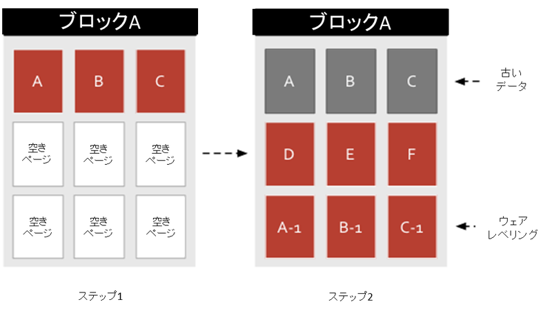 Fig2