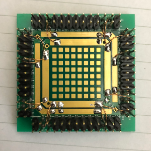 f:id:neurois:20200829210844p:plain:h200 f:id:neurois:20200829210844p:plain:h200