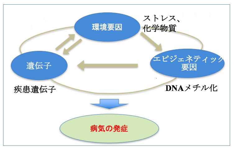 f:id:neurophys11:20170412150206j:plain:w300:right