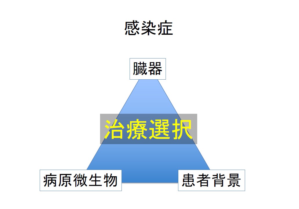 f:id:neurosamasama:20200912072259j:plain