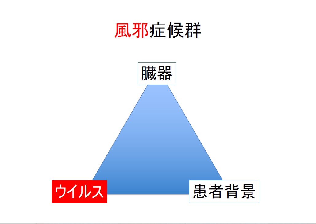 f:id:neurosamasama:20200912072411j:plain