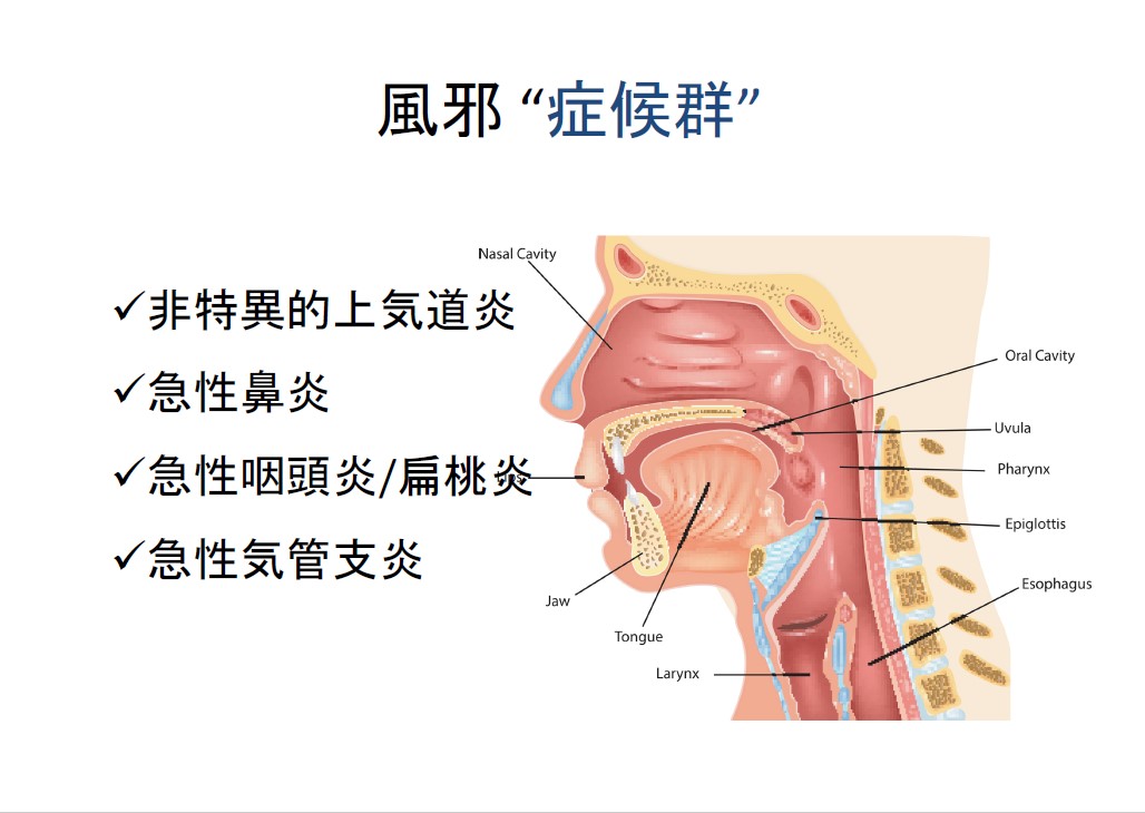 f:id:neurosamasama:20200912072423j:plain