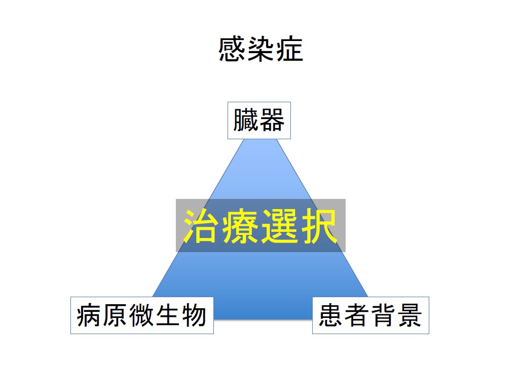 f:id:neurosamasama:20200914042735j:plain