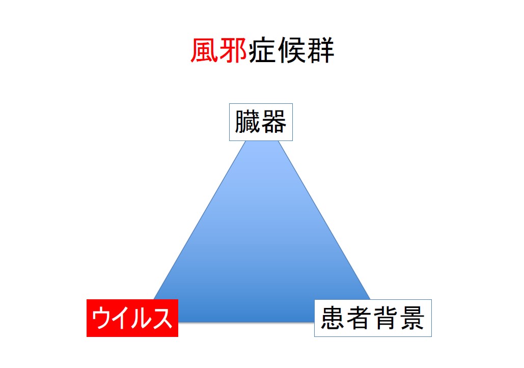 f:id:neurosamasama:20200914042748j:plain