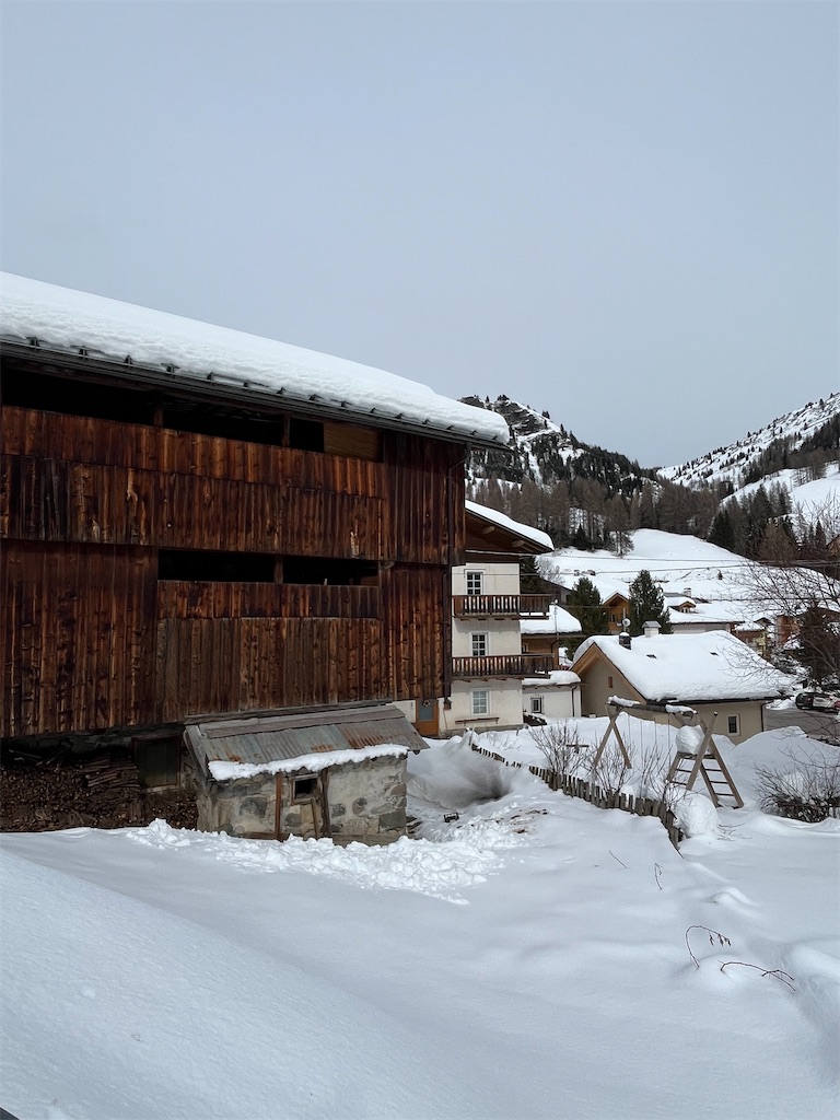 f:id:neurotrip:20260223044916j:image f:id:neurotrip:20260223044916j:image