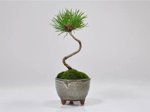 f:id:neutralfootball:20161122090448j:image f:id:neutralfootball:20161122090448j:image