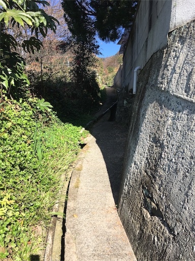 f:id:neutralfootball:20161230095147j:image f:id:neutralfootball:20161230095147j:image