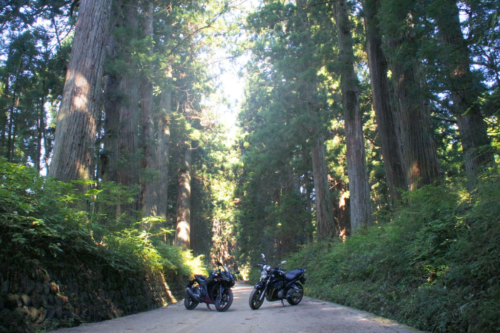 f:id:neutrals-blolog:20180805220400j:plain