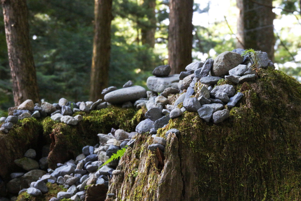 f:id:neutrals-blolog:20180805220423j:plain