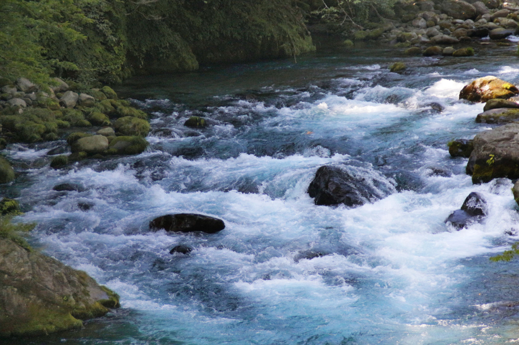 f:id:neutrals-blolog:20180805220437j:plain