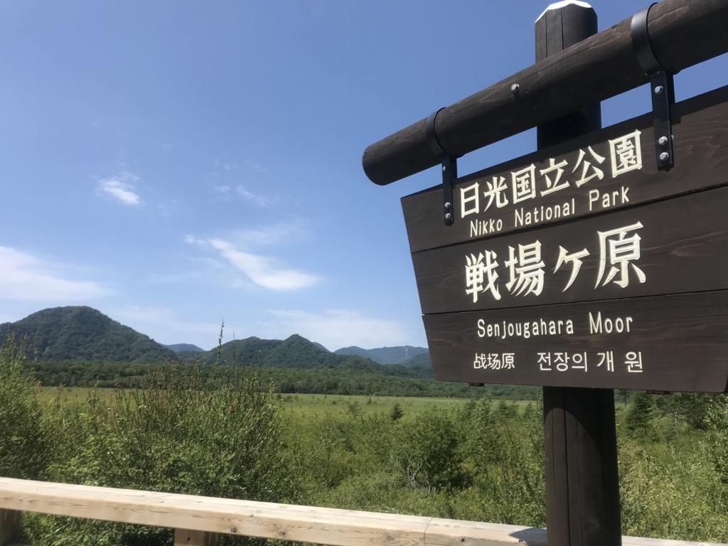 f:id:neutrals-blolog:20180805220634j:plain