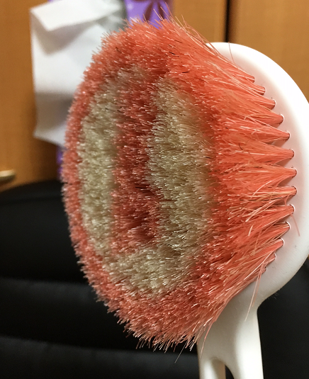 木製ボディブラシはすぐカビる 防カビならこれを選べ もちろん豚毛 馬毛使用 たのしい井戸の外