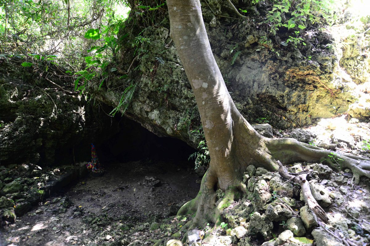 f:id:neverforget1945:20201129113728p:plain