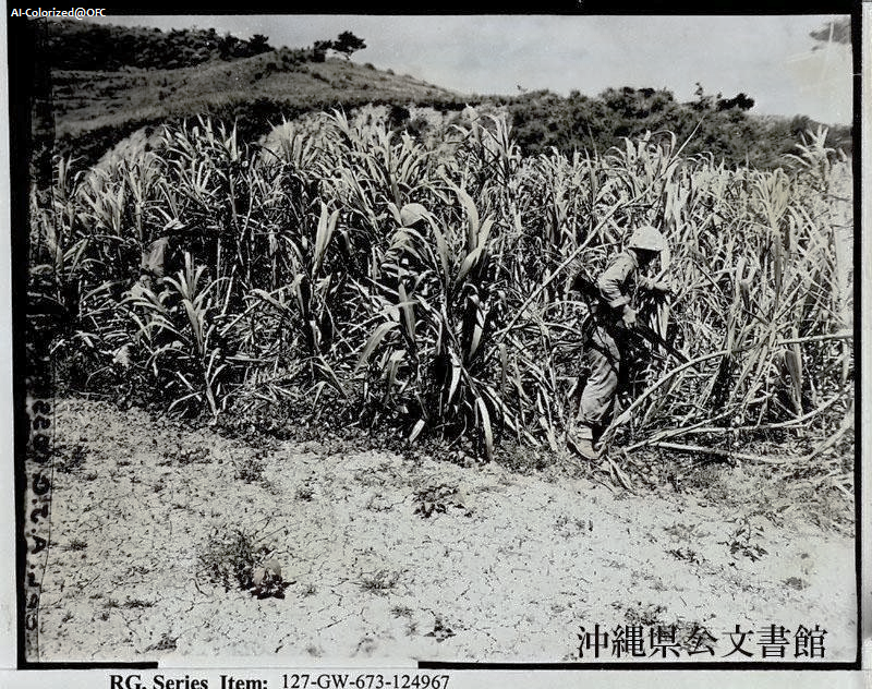 1945年6月16日 イモとサトウキビ シリーズ沖縄戦