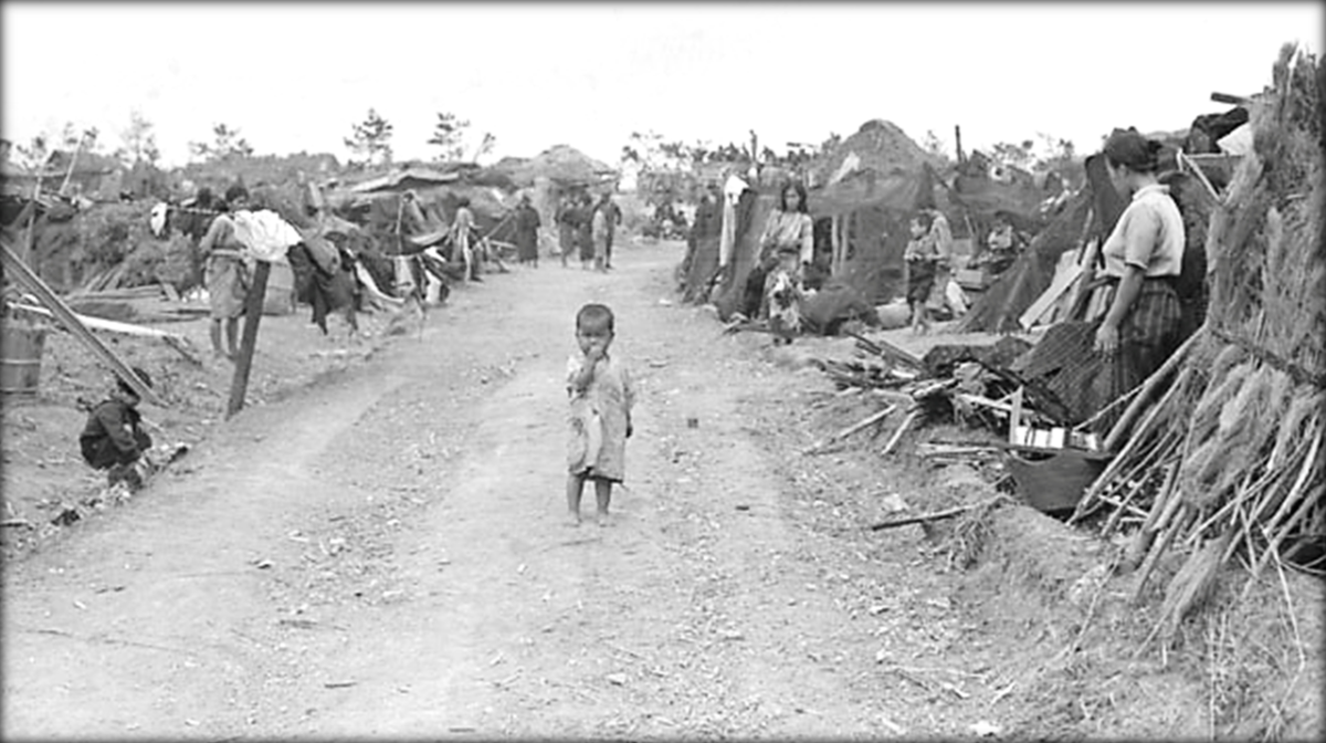 引き裂かれた家族—第二次世界大戦下のハワイ日系七家族 引き裂かれた家族—第二次世界大戦下のハワイ日系七家族 War in the