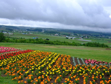 f:id:neverjp:20060623140538j:image