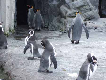 f:id:neverjp:20070909111827j:image