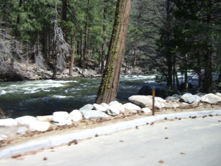 f:id:neverjp:20090420115447j:image