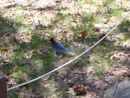 f:id:neverjp:20090420124434j:image