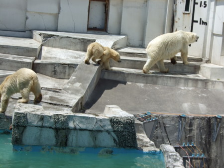 f:id:neverjp:20090624185818j:image