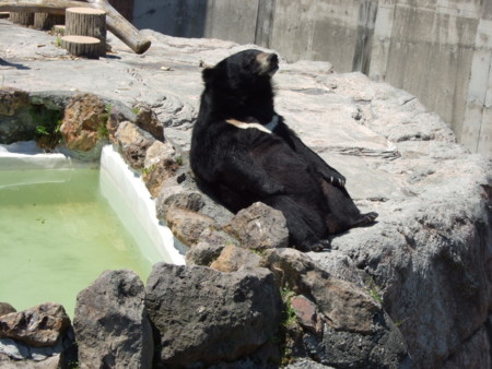 f:id:neverjp:20090624190154j:image