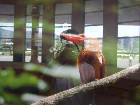 f:id:neverjp:20090626142236j:image